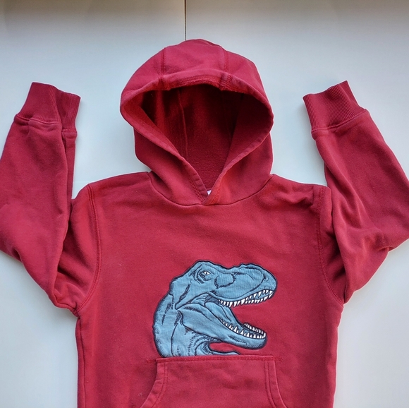 Gymboree dinosaur hoodie 7-8 years - Picture 14 of 15
